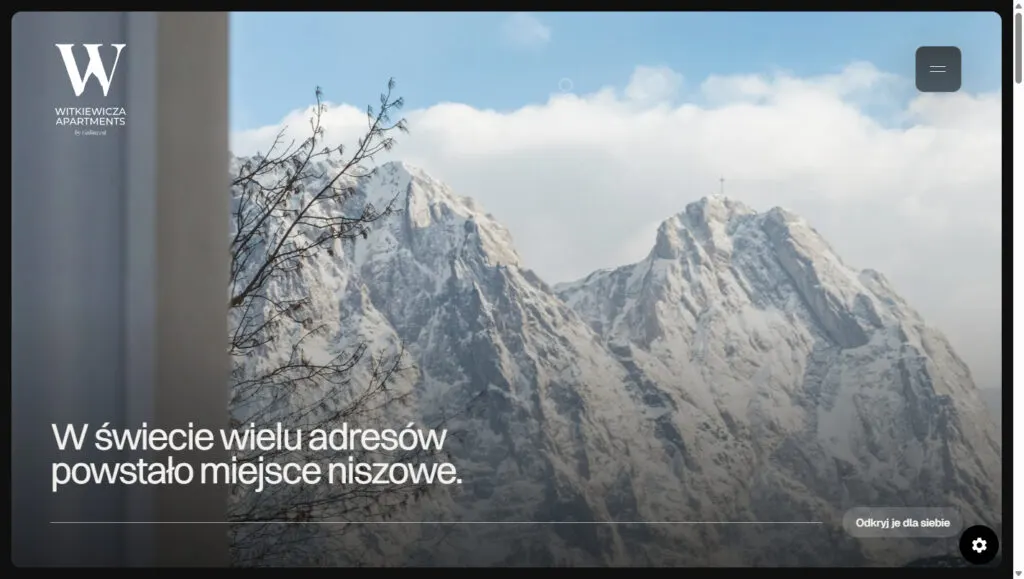 Strona www dla developera