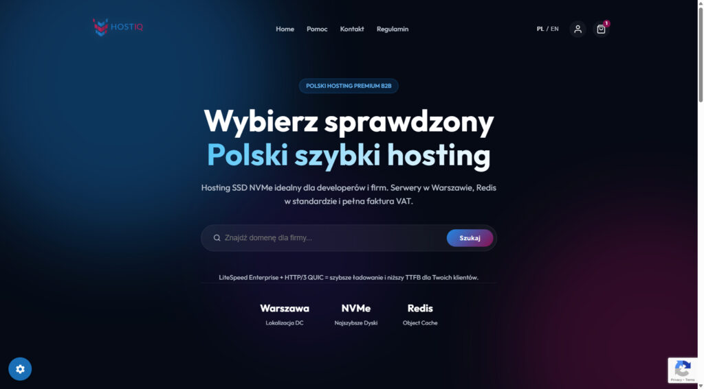 Strona/sklep www hostingu