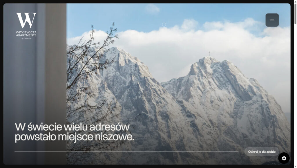 Strona www dla developera